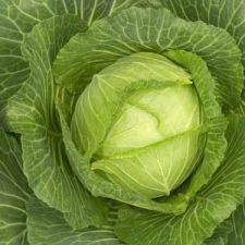 HCG Diet (P2/3) Cabbage Soup