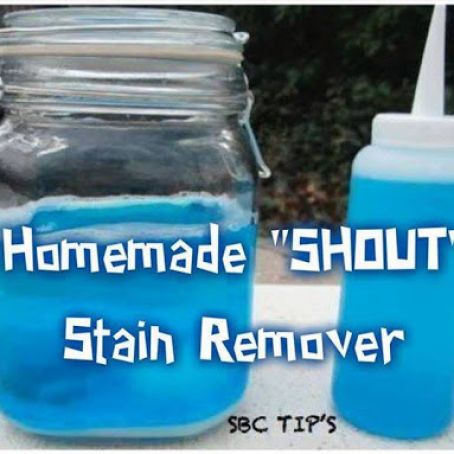 Homemade Shout Stain Remover