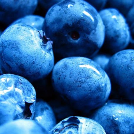 Layered Blueberry Dessert