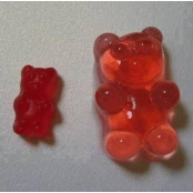 Adult Gummy Bears