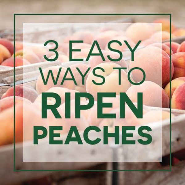 #3 easy ways to ripen peaches 