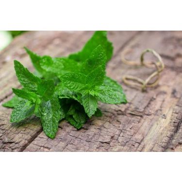 #18 ways to use fresh mint leaves