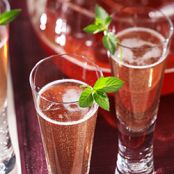 Champagne and Cranberry Juice Sparkling Punch
