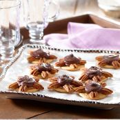 Maria Turtle Cookies Maria Turtle Cookies