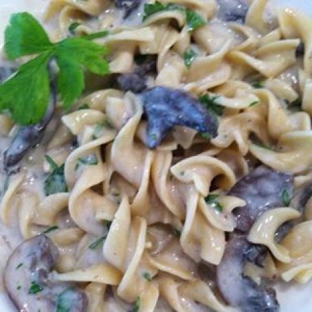 Portobello Mushroom Stroganoff