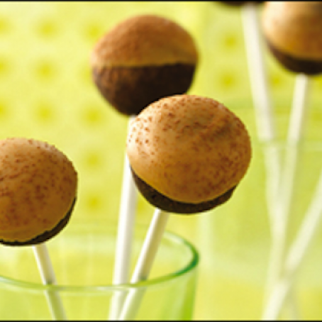 HG's Chocolate PB Cake Pops