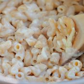 Cauliflower Alfredo (Caulifredo Sauce)