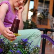 Purple Fruit and Veggie Popsicles