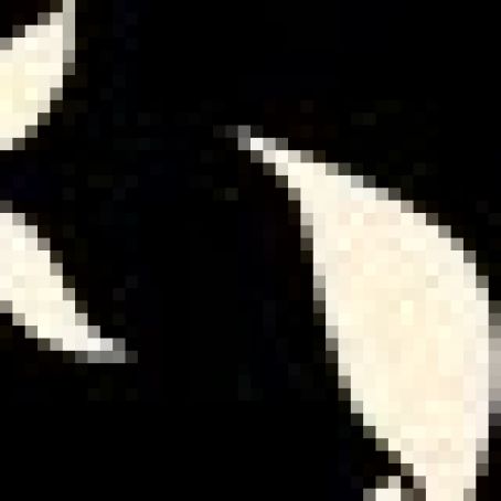 Chicken & Dumpling Soup in Crock Pot