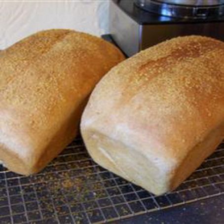 Honey Wheat Bread II