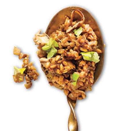 Farro, Caramelized Onion, Wild Mushroom and Turkey Stuffing