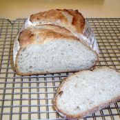 Getting sourdough consistent resutls