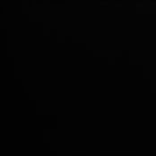 Basic Fritter Batter