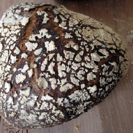 Dutch Oven Bread (Megan Joy version)