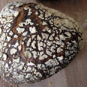 Dutch Oven Bread (Megan Joy version)