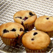 Blueberry Muffins