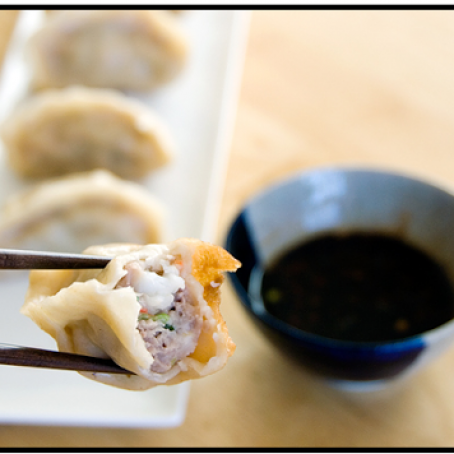 Chinese Dumplings/Potstickers