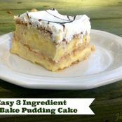EASY 3 INGREDIENT NO BAKE PUDDING CAKE