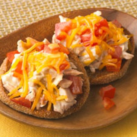 Tasty Tuna Melts