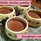 pudding - dark chocolate gelatin pudding