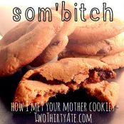 Som'Bitches (How I Met Your Mother)