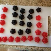 candy - fresh fruit gummies