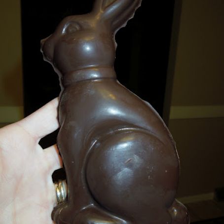 Chocolate Easter Bunny -  Allergy Free