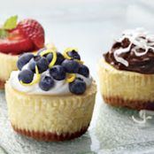 Mini Cheesecakes