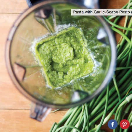 Pasta with Garlic-Scape Pesto
