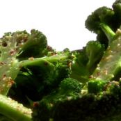Simple and Satisfying Broccoli (Melissa D'Arabian)