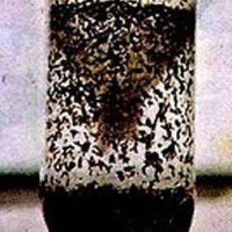 Making a Mosquito Trap