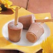 Homemade Fudge Pops