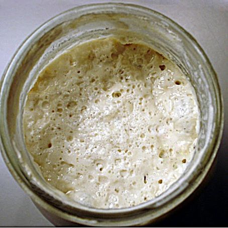 Sourdough Starter