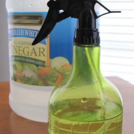 Homemade Glass Cook Top Cleaner