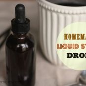 Homemade Vanilla Liquid Stevia