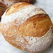 No-Knead Crusty White Bread