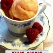 Peach Sorbet with Sunflower Seeds Phase 3