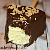 Chocolate Dip Cheesecake Slices (Frozen)