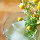 chamomile lemonade