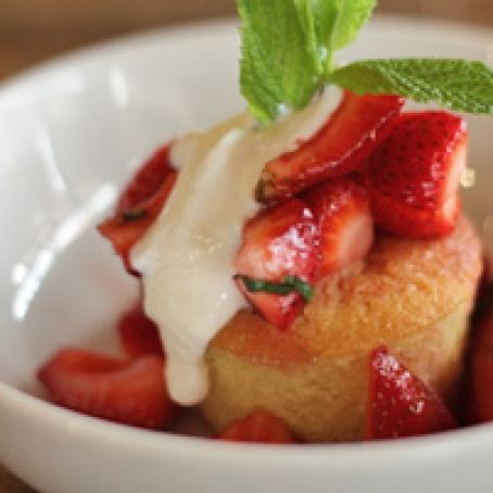 Lemon Olive Oil Cake