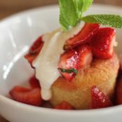 Lemon Olive Oil Cake