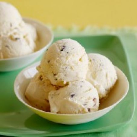 Mint Chip Ice Cream