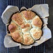 Parker House Pull-Apart Dinner rolls, GF