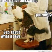 Kim's Zucchini Bread (veganized)