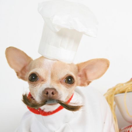 Pumpkin Peanut Butter Dog Treats