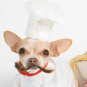 Pumpkin Peanut Butter Dog Treats