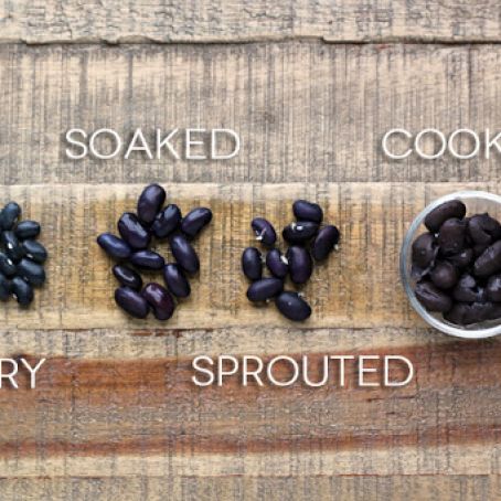 How to Sprout and  Cook Beans