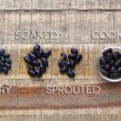 How to Sprout and  Cook Beans