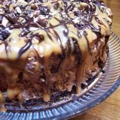 Jake's Explosive Turtle Cheesecake 