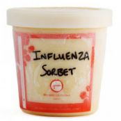 Jeni's Influenza Rx Sorbet (makes a generous 1 quart):